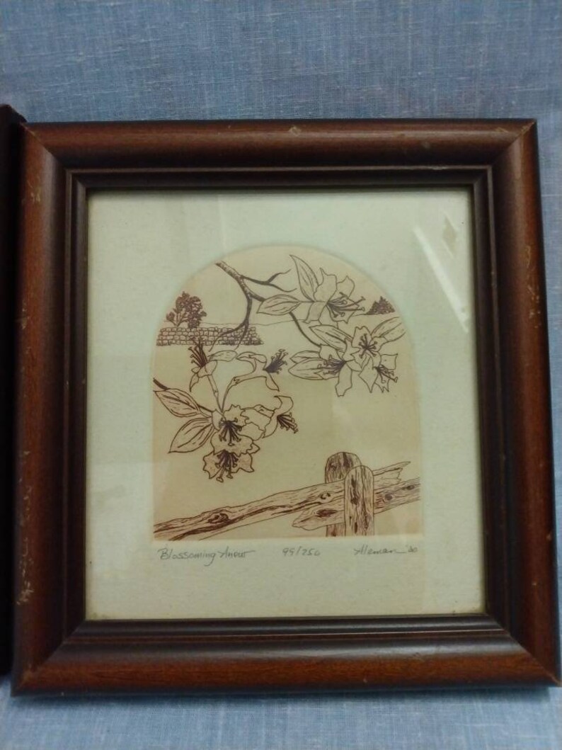 Op de afbeelding: Een ingelijste zwart-witte tekening van een bloeiende bloem met een houten hek op de voorgrond. De tekening is getiteld "Blossoming Hour" en gesigneerd met "Aleman" met het nummer 95/250.