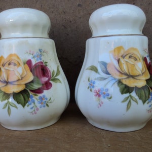 Vintage fine bone china English rose porcelain ceramic salt and pepper shakers rose pattern original stopper