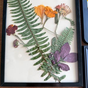 Dried Flowers wall hanging