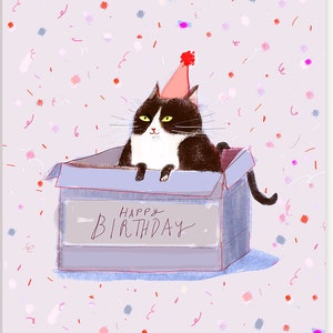 Happy Birthday Cat Card - Birthday Box - Funny Birthday Card