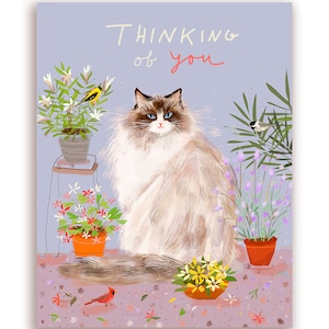 Set di carte Flower Power Cat - Set misto di 10 carte