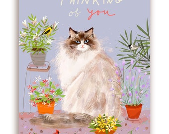 Flower Power Cat Card Set - Mixed Set of 10 Cards