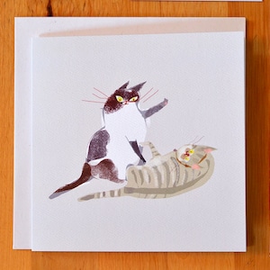 Cat Fight Card - Vierkante kaart - Kattenliefhebber