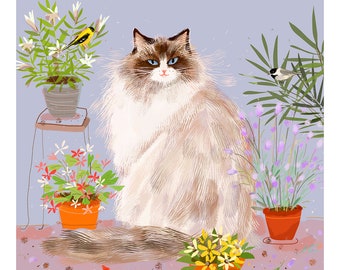 Ragdoll Cat Print - Cat Painting