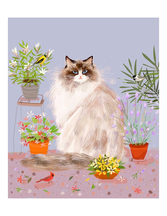 Ragdoll Katze Print Katzenmalerei