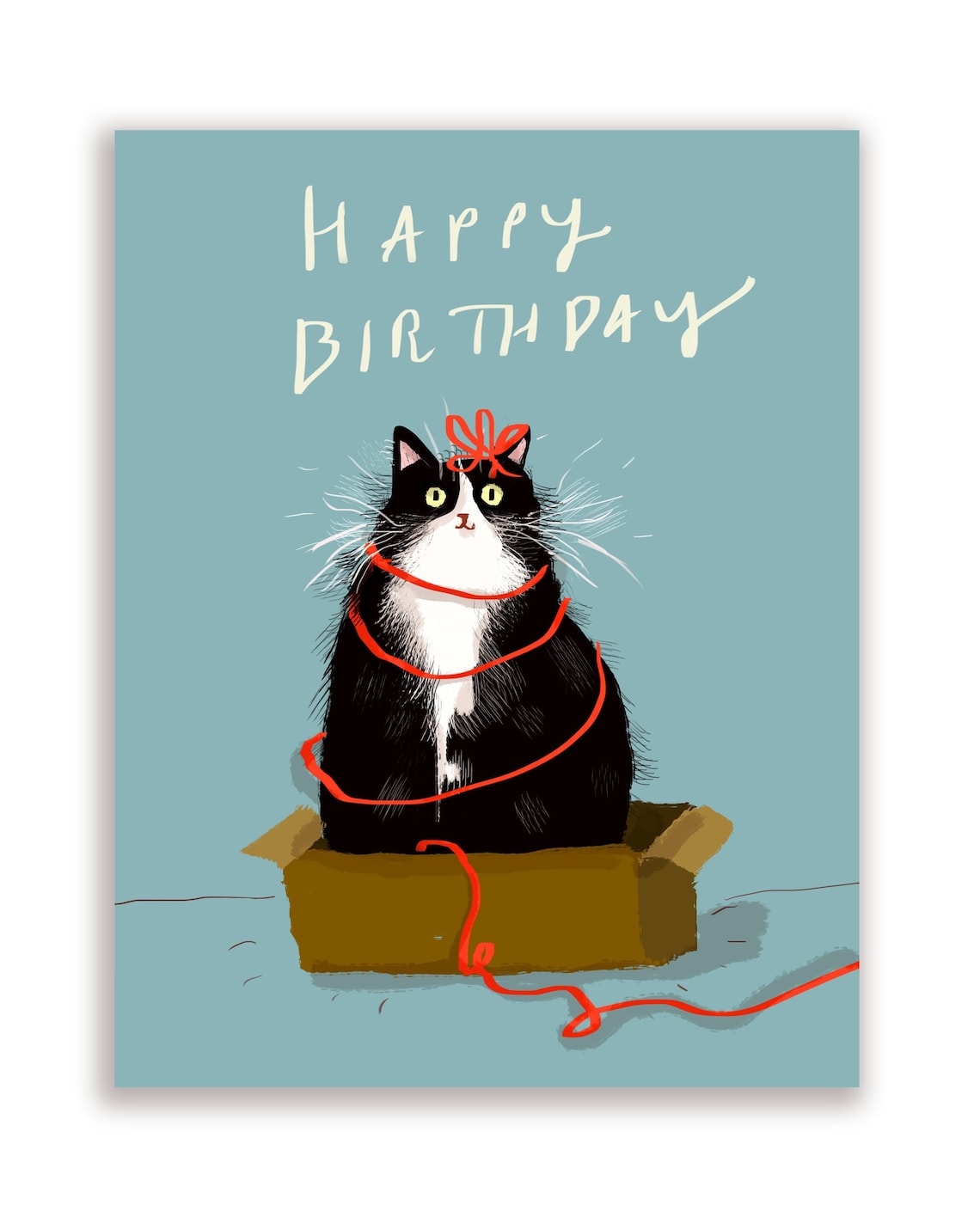 Funny Birthday Card – Tuxedo Cat in Box Illustration, Cat Lover ...