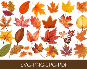 Fall Leaves Svg, Fall svg, Fall leaf svg bundle, Fall png, dxf, clipart, Cut files for Cricut, Glowforge files, Silhouette, Halloween svg