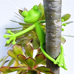 May include: A vibrant green frog plant stake is wrapped around a tree trunk. The stake features a cartoon frog with large eyes and outstretched limbs. The frog is set against a backdrop of green and red-edged succulent plants, adding a fun touch to any garden.