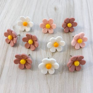May include: Nine daisy-shaped push pins in three colours: white, pink, and brown. Each daisy has a yellow centre.