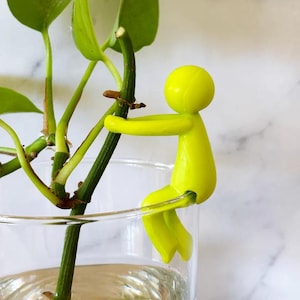 May include: A bright yellow plastic plant support in the shape of a person sitting on a plant stem. The plant is in a clear glass vase with water.