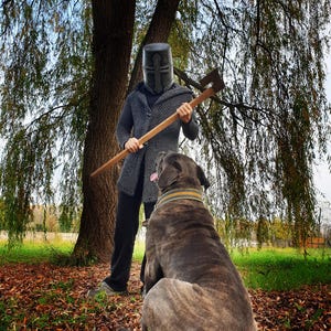 Full body shot of a person wearing the finished leather Crusader helm with a dark weathered metallic finish, chainmail armor, and holding an axe. They are standing outdoors under a willow tree next to a large brindle dog looking up at them.
