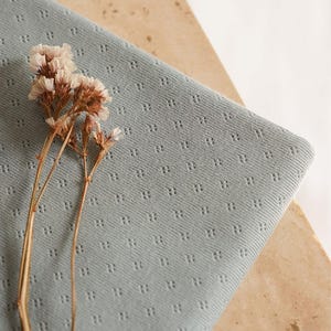 Op de afbeelding: Een close-up van een lichtblauwe stof met een klein, herhalend patroon van stippen. De stof is textuurrijk en heeft een zachte, licht pluche uitstraling. Een takje gedroogde bloemen ligt op de stof.