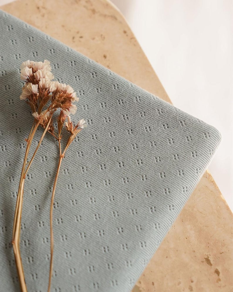 Op de afbeelding: Een close-up van een lichtblauwe stof met een klein, herhalend patroon van stippen. De stof is textuurrijk en heeft een zachte, licht pluche uitstraling. Een takje gedroogde bloemen ligt op de stof.