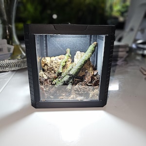 3D-Printed Isopod Display Vivarium Flat-Pack with Ventilation and optional light