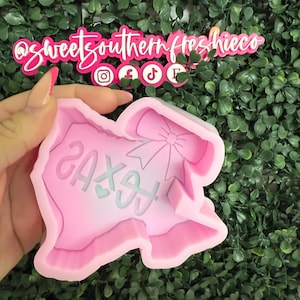 May include: A pink silicone mold in the shape of the state of Texas with the word "TEXAS" in a light blue color. The mold has a bow design and is held in front of a green leafy background. The text "@sweetsouthernfreshieco" is visible.