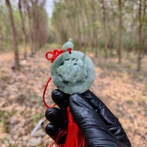 May include: A round, pale green jade pendant with a carved turtle design. The pendant is attached to a red cord and tassel. The background is a blurred view of a forest.