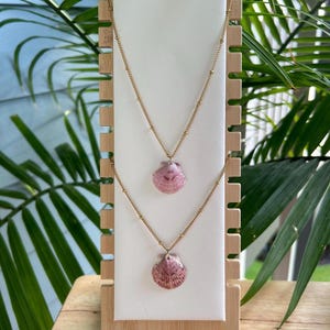 Real Scallop Shell Necklace: 18K Gold Plated Beach Jewelry
