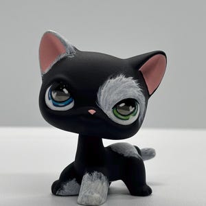 Littlest pet shop cat custom