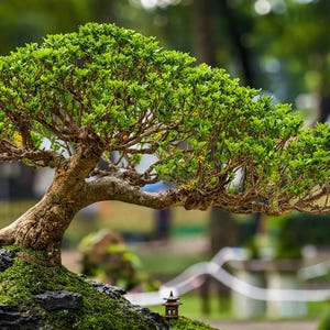 May include: A detailed bonsai tree with bright green leaves and a twisted, brown trunk. The tree is set on moss-covered rocks, with a blurred backdrop of trees and a small ornamental structure.
