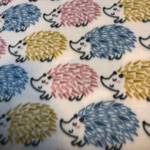RaToob Gold Pink and Blue Hedgies/Tenrecs on White