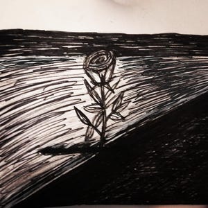 rose qui traverse l'asphalte ou le béton, paysage en noir et blanc, dessin style bd, dessin style croquis, fichier numérique à partir dessin