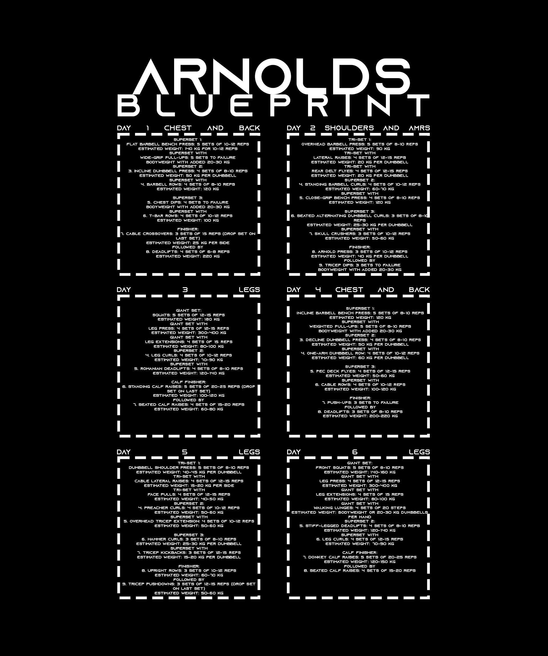 Arnold Schwarzenegger Blueprint Workout INTEGRITY Gym T-shirt - Etsy
