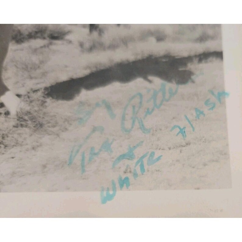 Vintage Tex Ritter & White Flash Westen Nashville 1930s Original ...