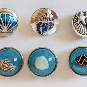 Blue Snap Charms, Shells, Clam Shell, Conch Shell, Snap Buttons for Snap Jewelry. Fits 18-20mm, Bling, Ginger Snaps, Noosa, Magnolia