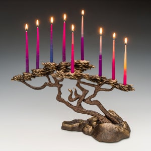 Monterey Cypress Menorah