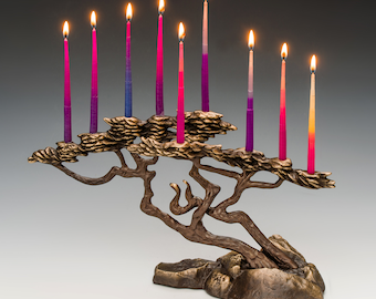 Monterey Cypress Menorah