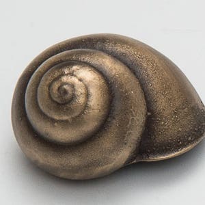 May include: A bronze-colored seashell with a spiral pattern. The shell is smooth and has a glossy finish.