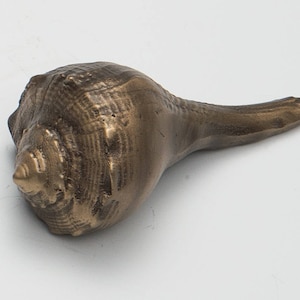 May include: A bronze seashell sculpture with intricate details. The shell is a realistic representation of a natural seashell, with a pointed tip and a curved, elongated shape.