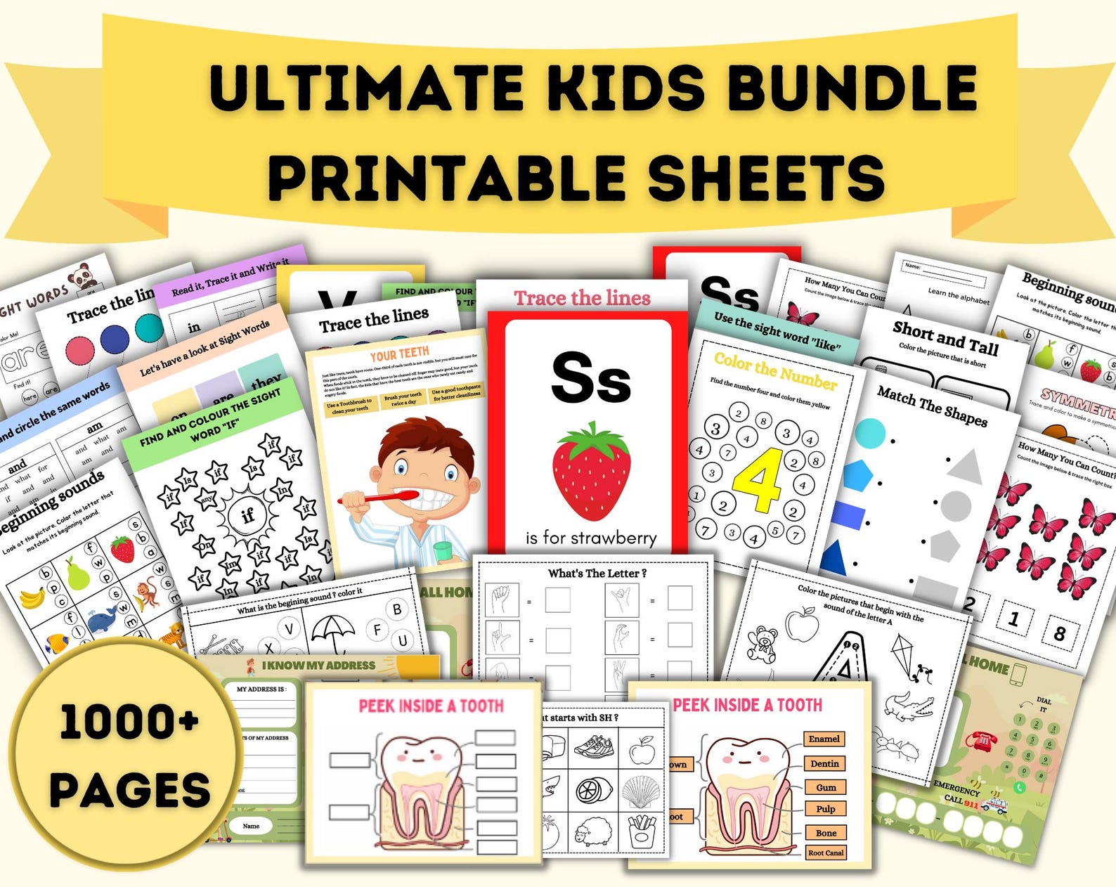Preschool Toddler Learning Worksheets Bundle 1000+ Homeschool Activity ...