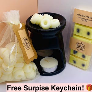 Tropical Wax Melts – Passion Fruit & Guava Scented Soy Coconut Wax – Handmade Fruity Wax Melts for Warmers – Paradise Collection