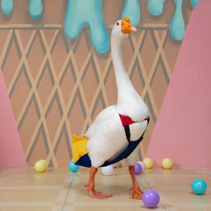 High Quality Goose Diaper