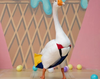 May include: A white goose wearing a harness with red, yellow, and blue accents. The goose stands on a tiled floor with colorful balls scattered around. The background features an ice cream cone design.