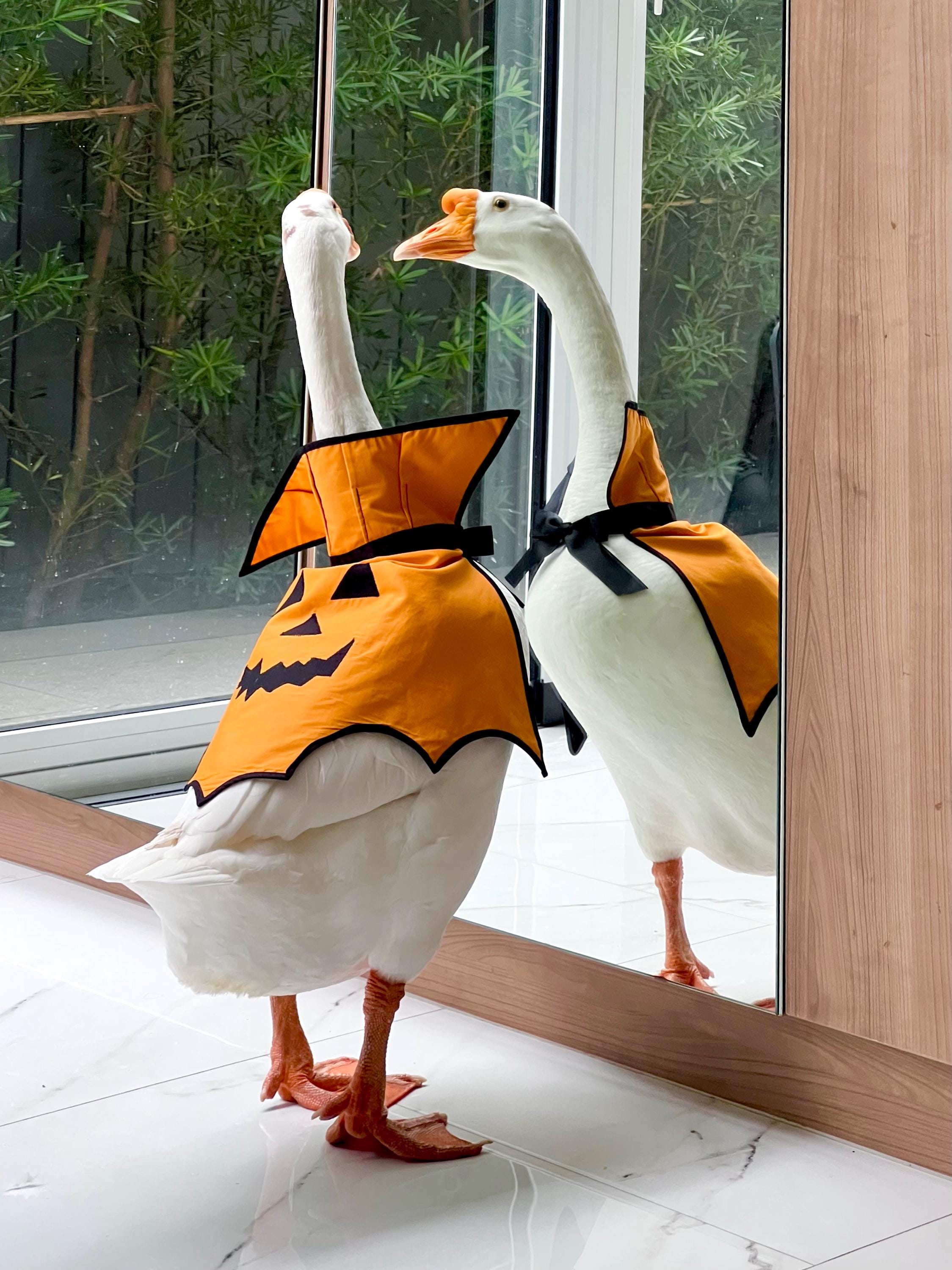 Goose Costume UK