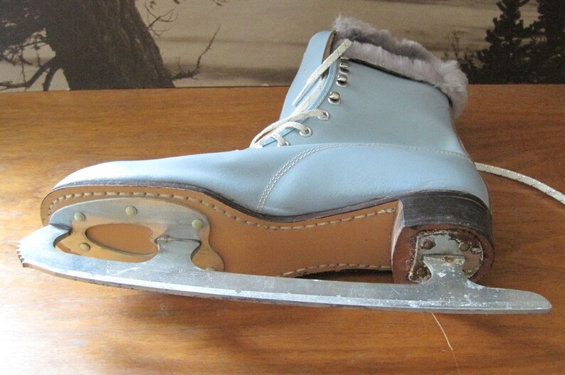 Vintage Blue Ice Skates with Tote Etsy