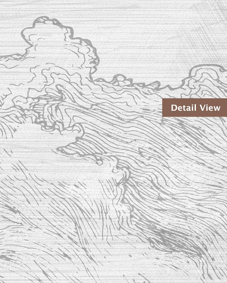 May include: A detailed view of a grayscale artwork featuring stylized clouds and water. The image has a textured, wood-like background. The text "Detail View" is in a brown rectangle.
