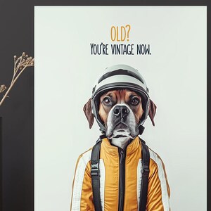 Lustiger Hund Geburtstagskarte, Printable Geburtstagskarten, Boxer Hund Kunst | Geschenk für Tierliebhaber |  Lustiges Geschenk für Ihn | Lustige Geburtstagskarten