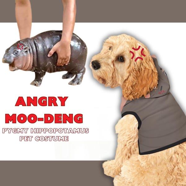 Moo Deng Costume Etsy