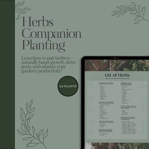Könnte beinhalten: Ein digitales Tablet zeigt eine Liste von Kräutern für die Mischkultur. Die Liste ist in Kategorien unterteilt, darunter "Medizinische und aromatische Kräuter", "Bestäuber- und Schädlingsabwehrende Kräuter", "Kräuter, die nützliche Insekten anziehen", "Kräuter, die man alleine oder mit Vorsicht pflanzen sollte", "Beste Kombinationen von Kräutern und Pflanzen", "Stickstofffixierende Kräuter", "Bodendecker und Bodenerneuernde Kräuter". Der Text "40 PFLANZEN!" ist in einem grünen Kreis sichtbar.