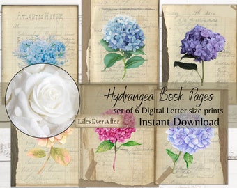 Hydrangea Book Pages Prints, Junk Journal Prints, Pintables, Prints, Digital Download, Scrapbooking Pages, Card Making Art, Digit Prints