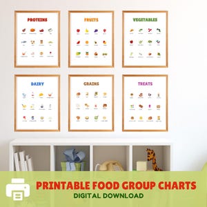 Cuadro educativo de grupos de alimentos para niños / Arte mural para niños / Póster de alimentos con arcoíris para niños / Póster de educación en el hogar Montessori / Nutrición saludable para niños