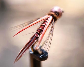 Hogan's Amber Wing Dictator Nymph - 3pcs Fly Fishing Flies