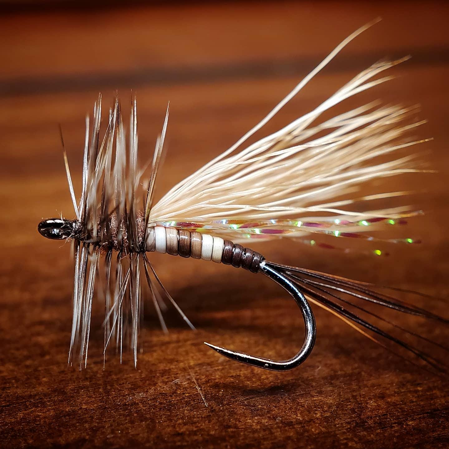 Peccary Caddis 3pcs Fly Fishing Flies