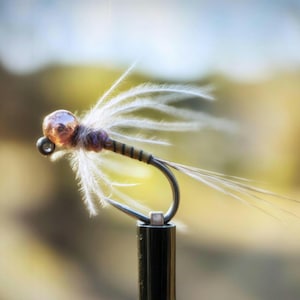 Jack Daniels Nymph Fly - Etsy