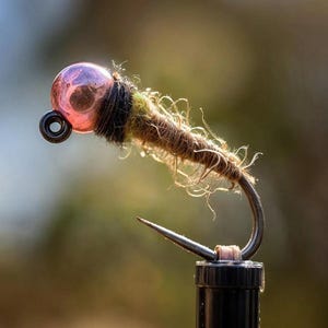 Wee Cased Caddis Jig Nymph, obciążona mucha Euro Nymphing Trout Fly (opakowanie 3 szt.)