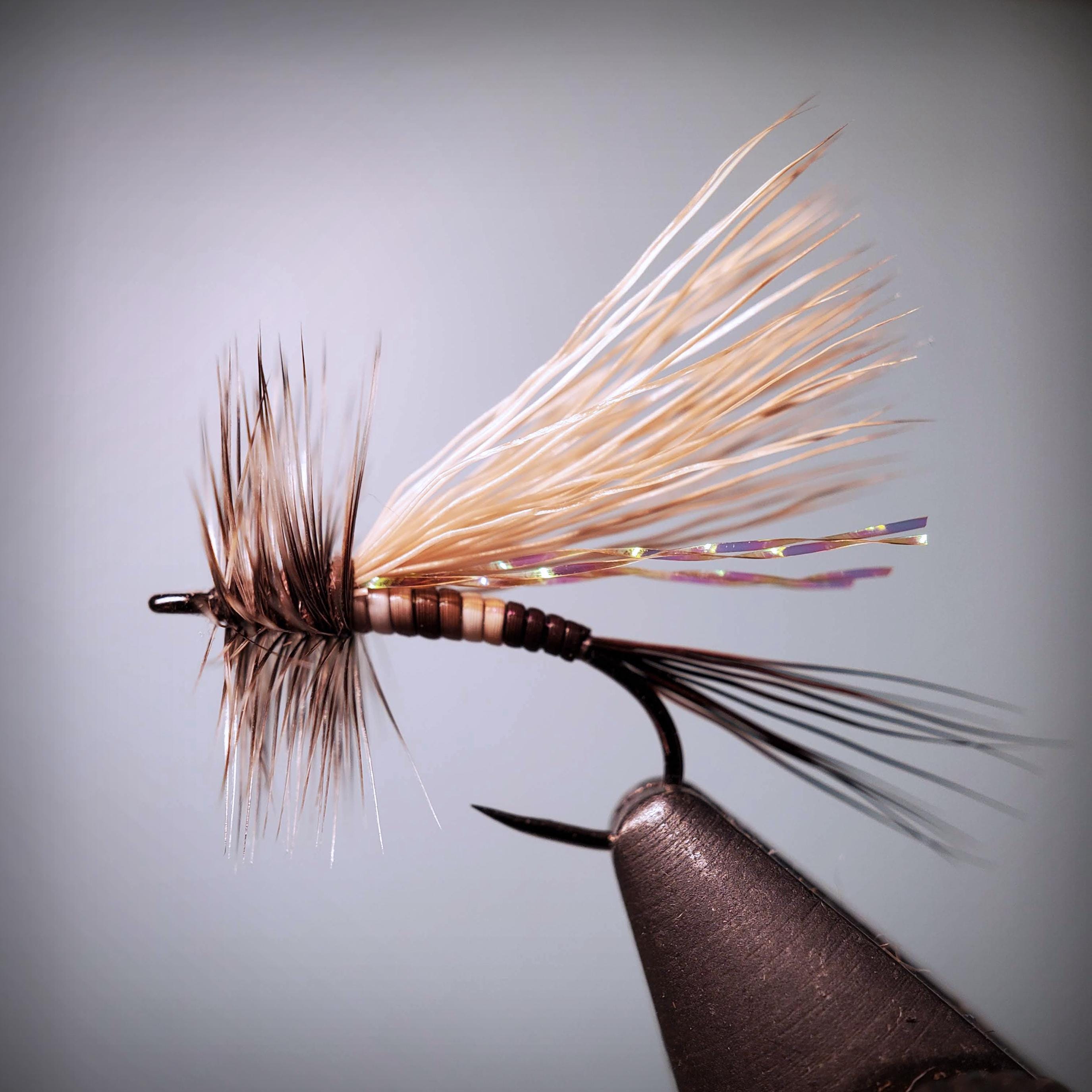 Peccary Caddis 3pcs Fly Fishing Flies Israel