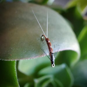 Bear Baetis Nymph - 3pcs Fly fishing flies
